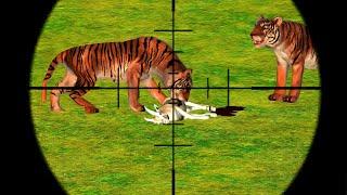 Wild Animal Hunting : Deadly Dino Hunt Shooting Android Gameplay
