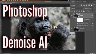 How You Should Use Denoise AI as a PHOTOSHOP Plugin