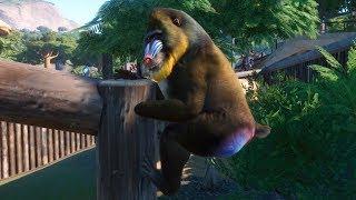 Planet Zoo - Mandrill Gameplay (PC HD) [1080p60FPS]