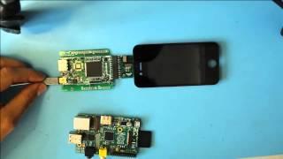 Raspberry Pi driving an Iphone 4 LCD