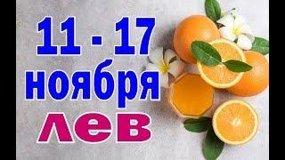 ЛЕВ  неделя с 11 по 17 ноября. Таро прогноз гороскоп