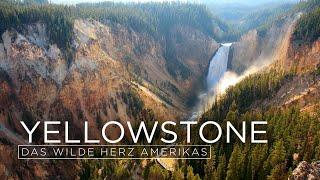 Yellowstone Nationalpark - Das wilde Herz Amerikas (TV-Dokumentation)