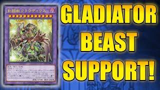 NEW GLADIATOR BEAST SUPPORT CHANGES EVERYTHING! Yu-Gi-Oh!