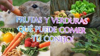 FRUTAS Y VERDURAS QUE PUEDE COMER TU CONEJO!?