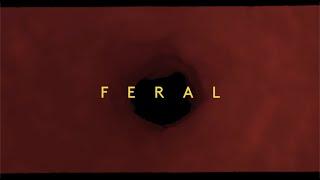 Elder Island | FERAL (Official Video)