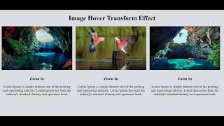 Image Hover Zoom In Transform Effect Using Only HTML & CSS - SFC