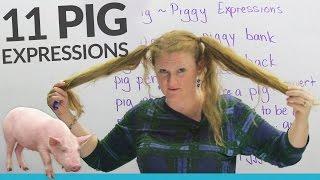 11 PIG expressions in English: "pig out", "pig tails", "piggy back"...