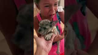 Girl Surprised with Adorable Puppy on her Birthday