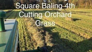 4th Cutting Orchard Grass-Rake and Bale