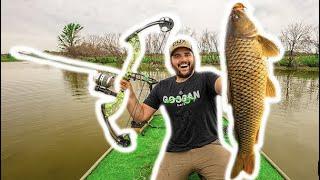 BOW FISHING WITH POWERFUL BOW AND ARROW