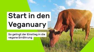 Start in den Veganuary - So gelingt der Einstieg in die vegane Ernährung