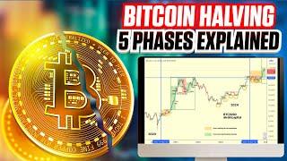 5 Phases of Bitcoin Price Discovery - Ultimate Guide For 2024 & 2025