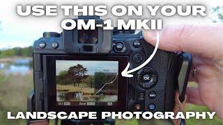 OM System OM-1 MKII Function That Nobody Uses. Landscape Photography