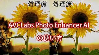 AVCLabs Photo Enhancer AI の使い方