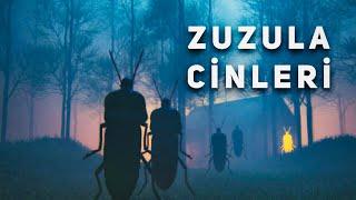 Define Arayan Hocaya Aşık Olan, Defineyi Koruyan Dişi Cin- Zuzula Cin Kabilesi | Hüddam | Büyü