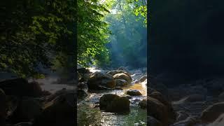 Peace Relaxing Music  Calm & Serenity