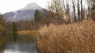 Bergsee - Entspannung - Natur