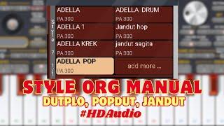 Style ORG 2024 - Manual HD Audio