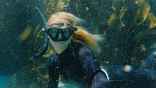 Exploring TASMANIA - Freediving Kelp Forests, Giant Trees and Mountain Biking