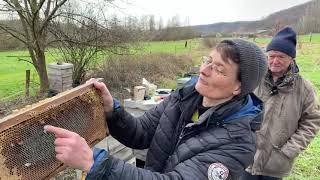 Live von Pias Bienenstand 30.1.21