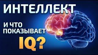 Почему тест на IQ запрещен в Америке.