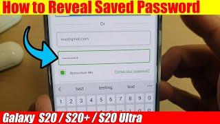 Galaxy S20/S20+: How to Reveal Saved Password