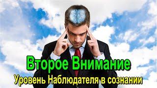 Второе Внимание. Уровень Наблюдателя в сознании. Магическое Сознание.