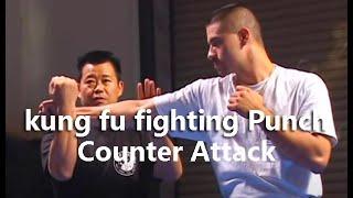 kung fu fighting Punch Counter Attack #SelfDefense#Gongfu#Kungfu#Qinna#MartialArts#taichi