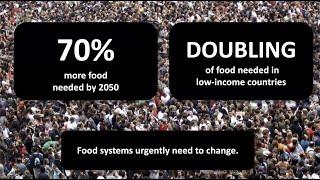 The Alliance for Climate Change and Food Systems Research