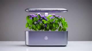 World's Best Automated Smart Garden the AVA Byte