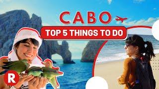 Top 5 Things To Do In Cabo // Don't Miss These Spots! // Mexico Travel Tips