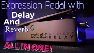 Ernie Ball Ambient Delay: Tone Clips by Blake Hall