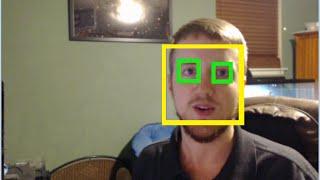 Haar Cascade Object Detection Face & Eye - OpenCV with Python for Image and Video Analysis 16