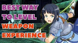 Ultimate Guide To Weapon Proficiency Farming in SAOIF