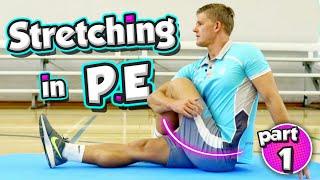 Here's a STRETCHING routine you can use in any PE lesson + learn the muscles (part 1)