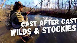 Exploring a NEW PA Special Regulation Trout Stream!