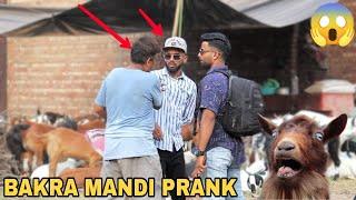 Bakra Mandi Prank 2024 || MOUZ PRANK