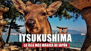 Itsukushima: la isla más mágica de Japón: ciervos ladrones y un santuario flotante   ️