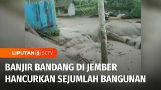 Banjir Bandang Terjang Jember, Sejumlah Bangunan Porak-Poranda | Liputan 6