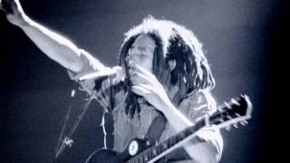 Bob Marley & The Wailers - 1977-05-20 Gronalund - Stockholm, Sweden  Full Concert