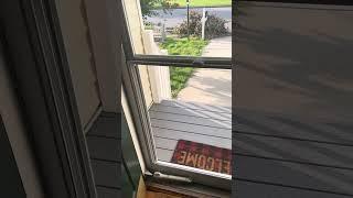 Larson Tradewinds Retractable Window Storm Door Review