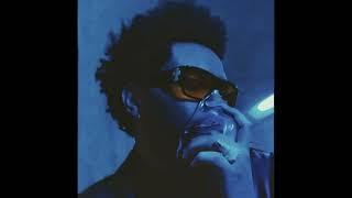 [FREE] The Weeknd x 80s Pop Type Beat 2024 - "Ocean Drive"