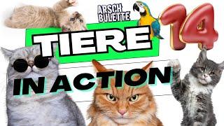 Tiere in Action 14 von A.Bulette | Lachen ist gesund‼️