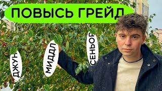 Как Правильно Повышать Грейд От Junior До Senior Программиста 