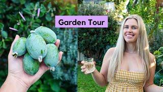 Urban Permaculture Garden Tour Australia // Growing Feijoa or Pineapple Guava in Perth!!