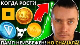 ️ DOGS, NOTCOIN, TONCOIN, HMSTR 🟢 ВОТ ПОЧЕМУ РОСТ НЕИЗБЕЖЕН! ЕДИНИЦЫ ЗАРАБОТАЮТ! СДЕЛАЙ ЭТО ПОКА...