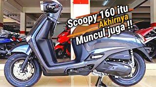 Scoopy 160 itu Akhirnya Muncul juga !! AHM akan segera meresmikan motor ini! Honda Stylo 160