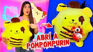 ABRÍ un PELUCHE de POMPOMPURIN y me mostró ALGO TURBIO (EL peluche MÁS GRANDE️) | Ani Cat