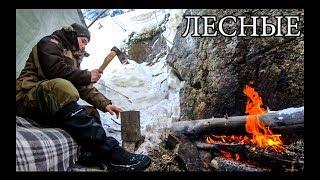 В ТАЙГЕ ЗИМОЙ С МИНИМАЛЬНЫМ СНАРЯЖЕНИЕМ | Горы Снег Бушкрафт - Winter Solo Overnight Bushcraft Camp