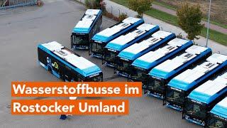 52 Wasserstoff-Busse auf den Straßen im Landkreis Rostock